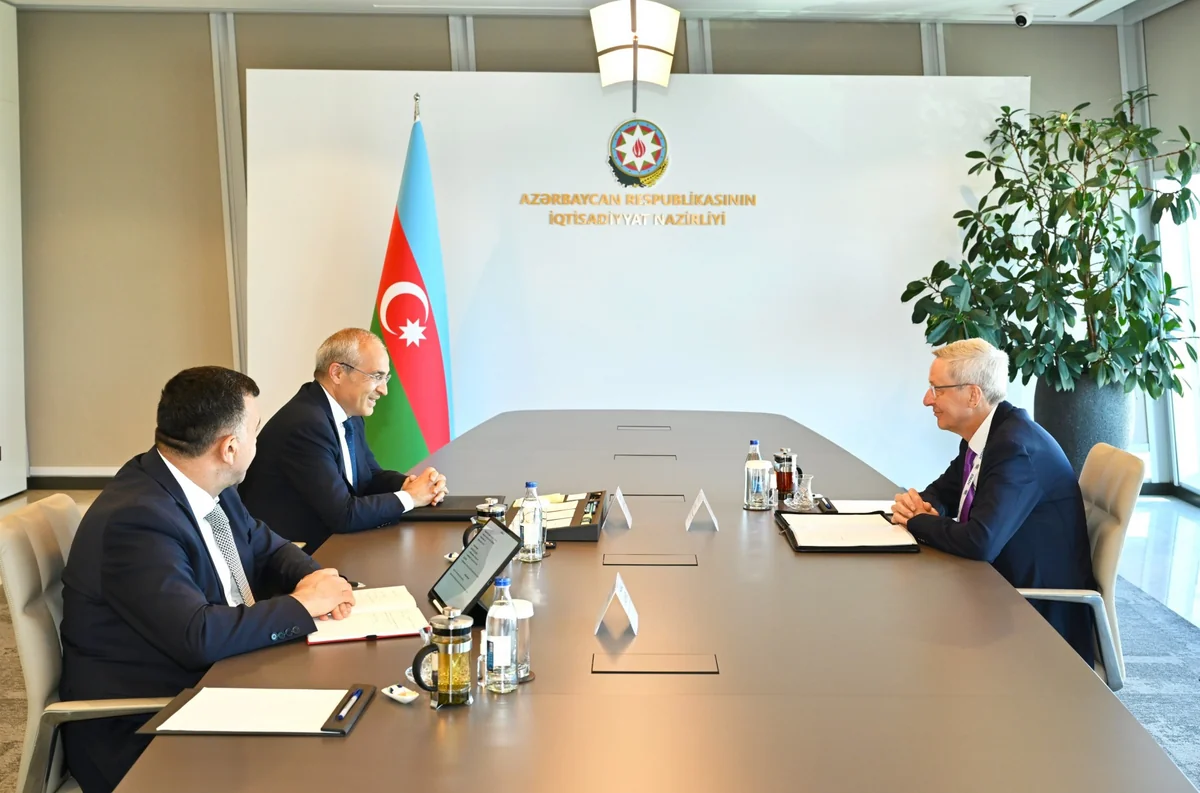 Azerbaijan, Germany discuss establishing business council
