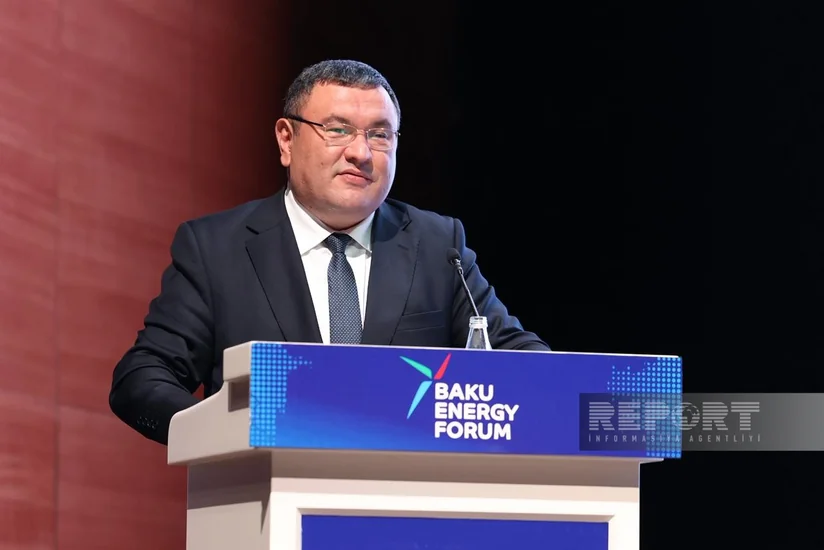 Uzbek minister: Central Asia has potential to lead in clean energy