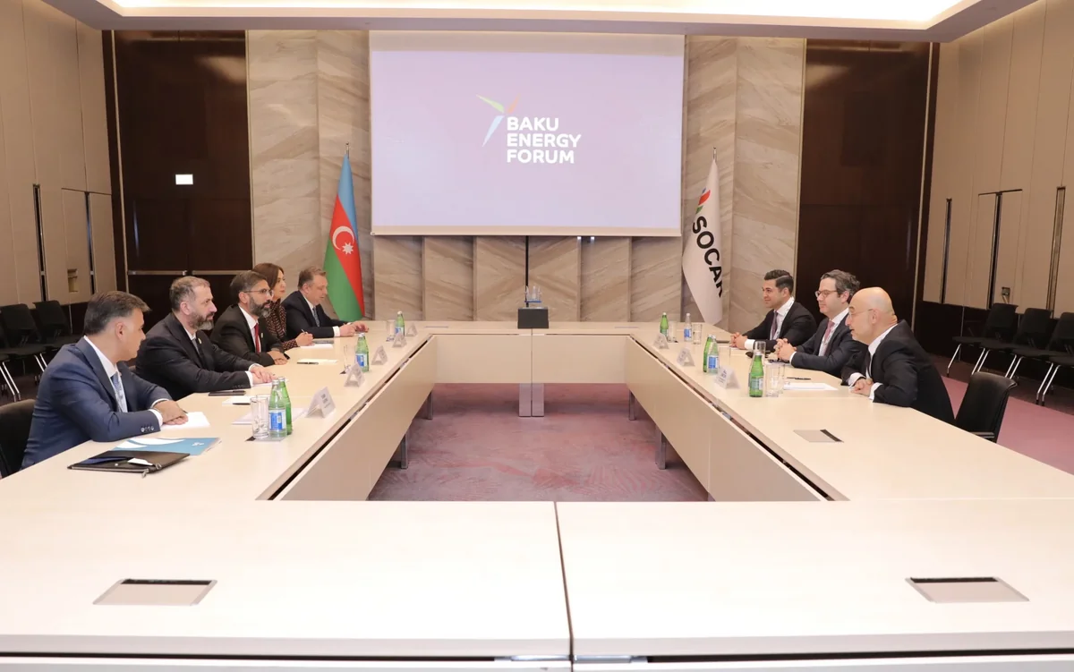 SOCAR may cooperate with US company in green energy transition