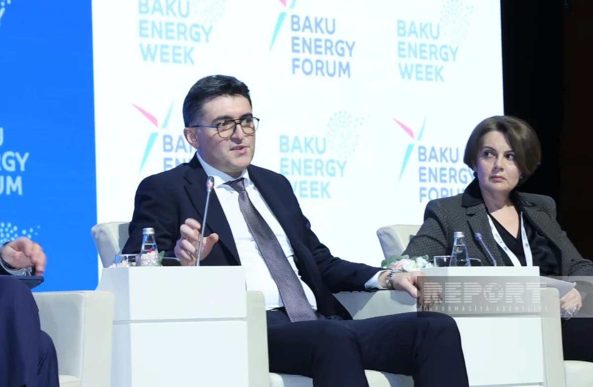 Azerbaijan seeks concessional financing for energy interconnectors