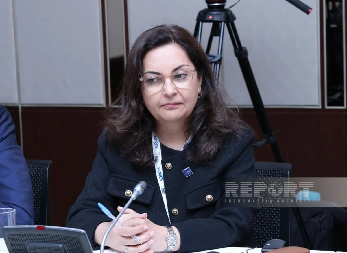 Sunniya Durrani-Camal: ADB enerji sahəsində Azərbaycanla daha çox iş görməyə ümid edir