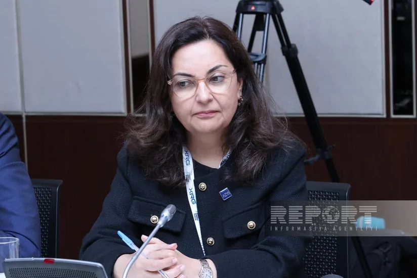 Sunniya Durrani-Camal: ADB enerji sahəsində Azərbaycanla daha çox iş görməyə ümid edir
