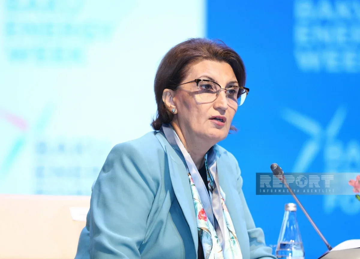 SOCAR perspektiv neft-qaz rayonlarında kəşfiyyat işlərini genişləndirir