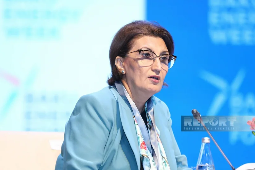 SOCAR perspektiv neft-qaz rayonlarında kəşfiyyat işlərini genişləndirir
