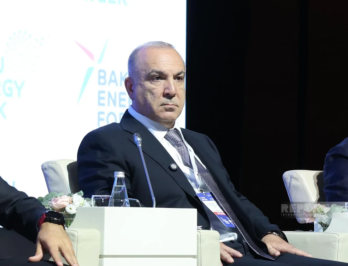 Azerbaijani company eyes IPO, expansion into US, Asian and Middle Eastern markets