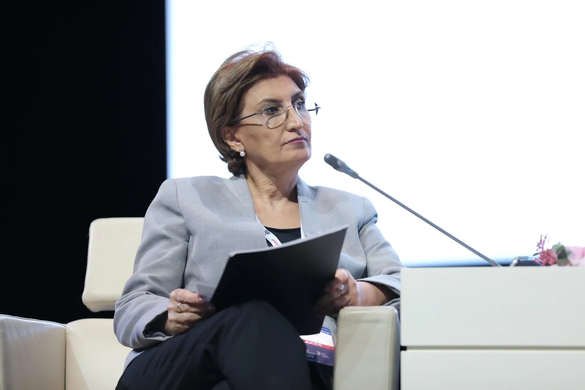 Vice President: SOCAR accelerates oil and gas exploration