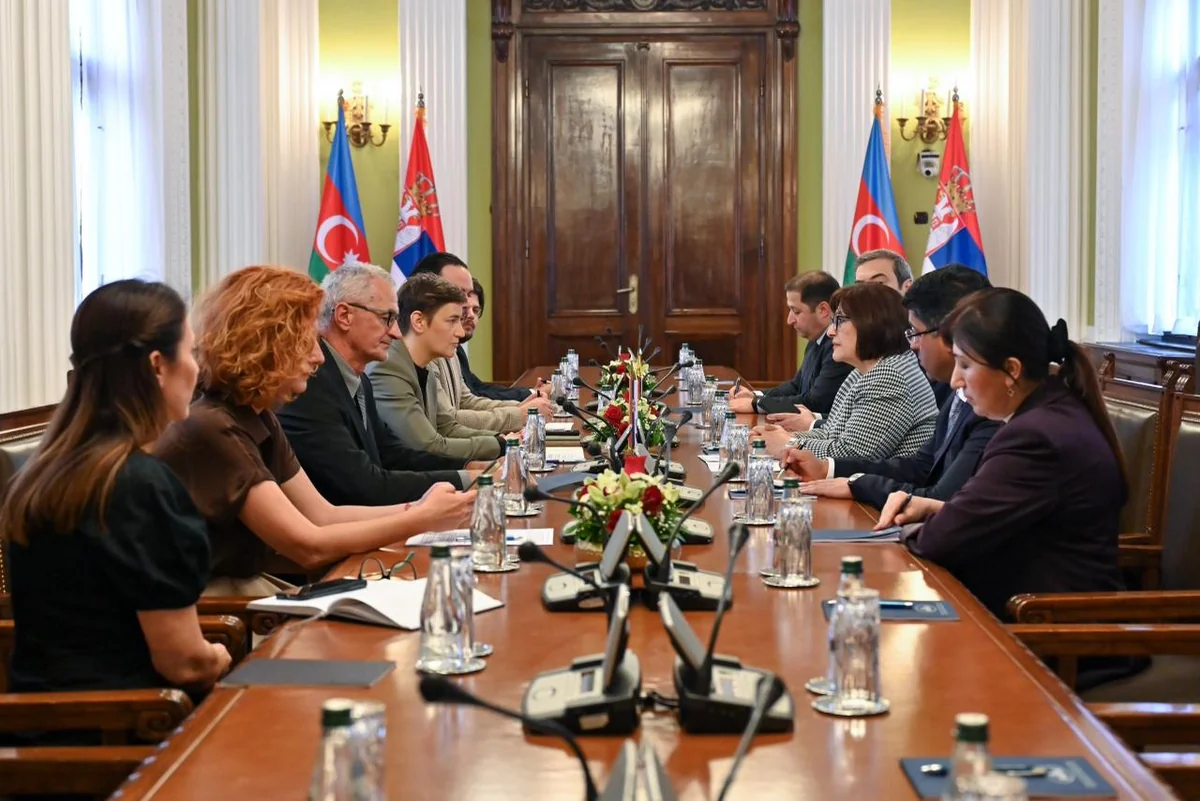 Azerbaijan, Serbia parliamentary speakers discuss bilateral cooperation