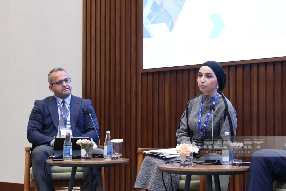 Azerbaijan to create Digital Trade Hub information system