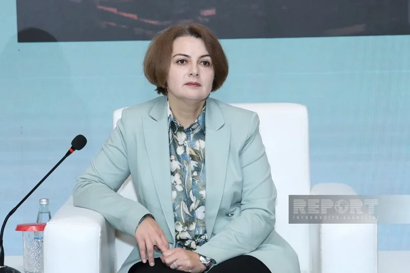 Rəna Hümbətova: Gələn ilin sonunadək Azərbaycanda 8 yeni GES istifadəyə veriləcək