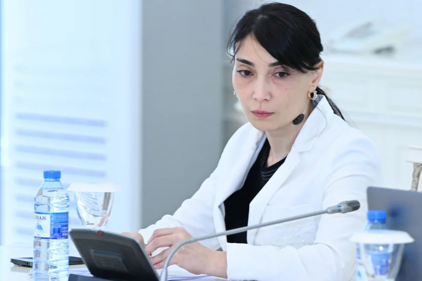 Səkinə Əliyeva: İllərlə gözlədiyimiz bir anın hüquqi bazası, çərçivəsi yaranır