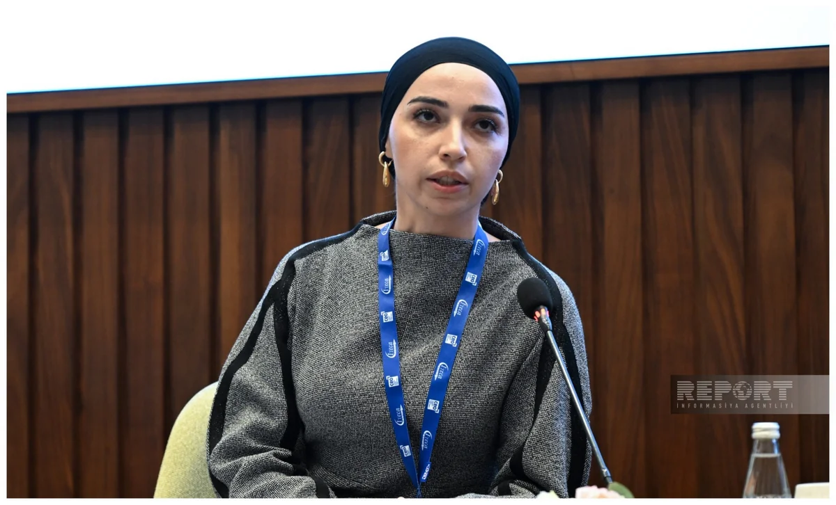 Nazirlik rəsmisi: İqtisadi inkişaf üçün AI-yə və rəqəmsallaşmaya sərmayələr artırılmalıdır