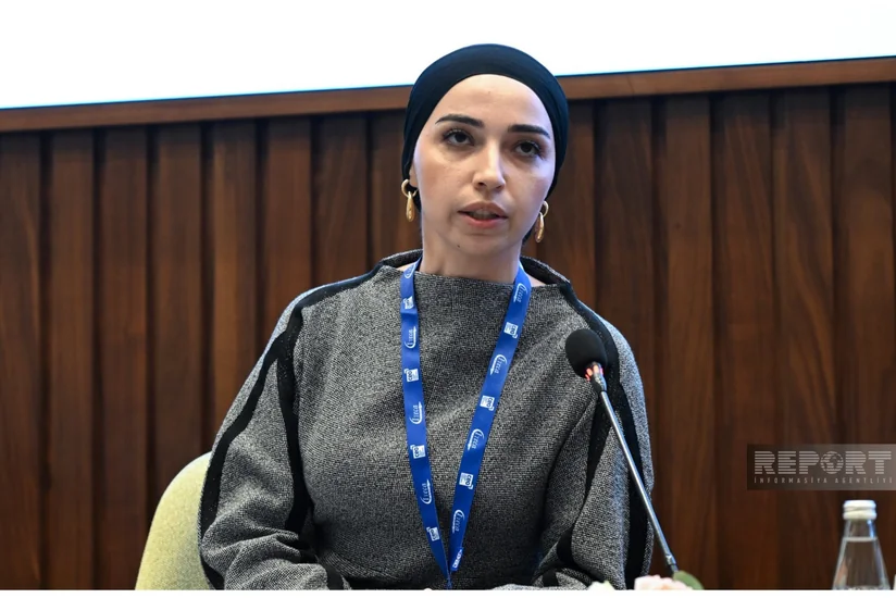 Nazirlik rəsmisi: İqtisadi inkişaf üçün AI-yə və rəqəmsallaşmaya sərmayələr artırılmalıdır