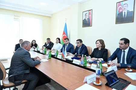 Fərid Qayıbov Neftçala və Salyan rayon sakinlərini qəbul edib