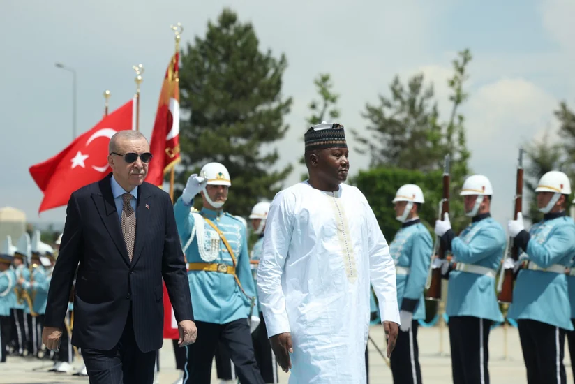 Türkiye to assist Niger in fight against terrorism