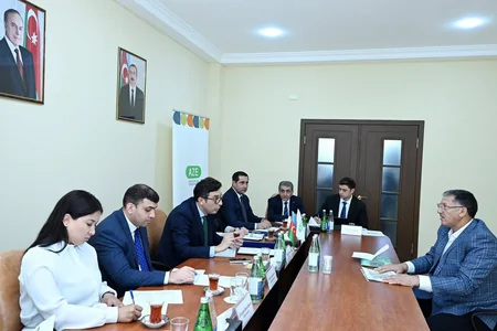 Fərid Qayıbov Neftçala və Salyan rayon sakinlərini qəbul edib