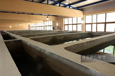 Khankandi water, sewage collectors to be reconstructed
