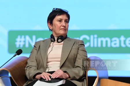 Ümumdünya Ətraf Mühit Günü çərçivəsində Xəzər dənizinin problemləri müzakirə olunub