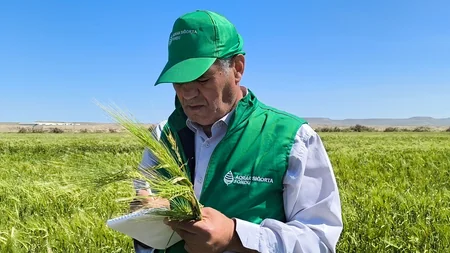 ASF: Təbii fəlakətlər nəticəsində 53 min hektar əkin sahəsi zərər görüb
