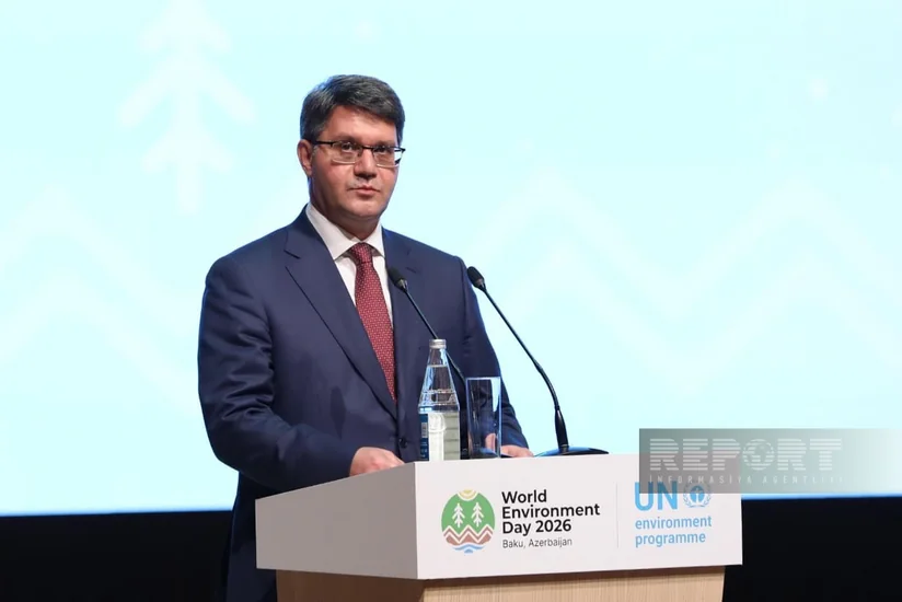 Rashad Ismayilov: Protecting environment is common global responsibility