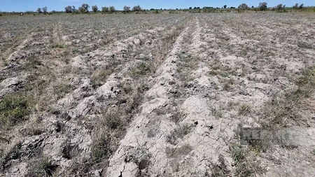Sabirabadda qrunt sularının axıdılması üçün açıq körpü tikiləcək