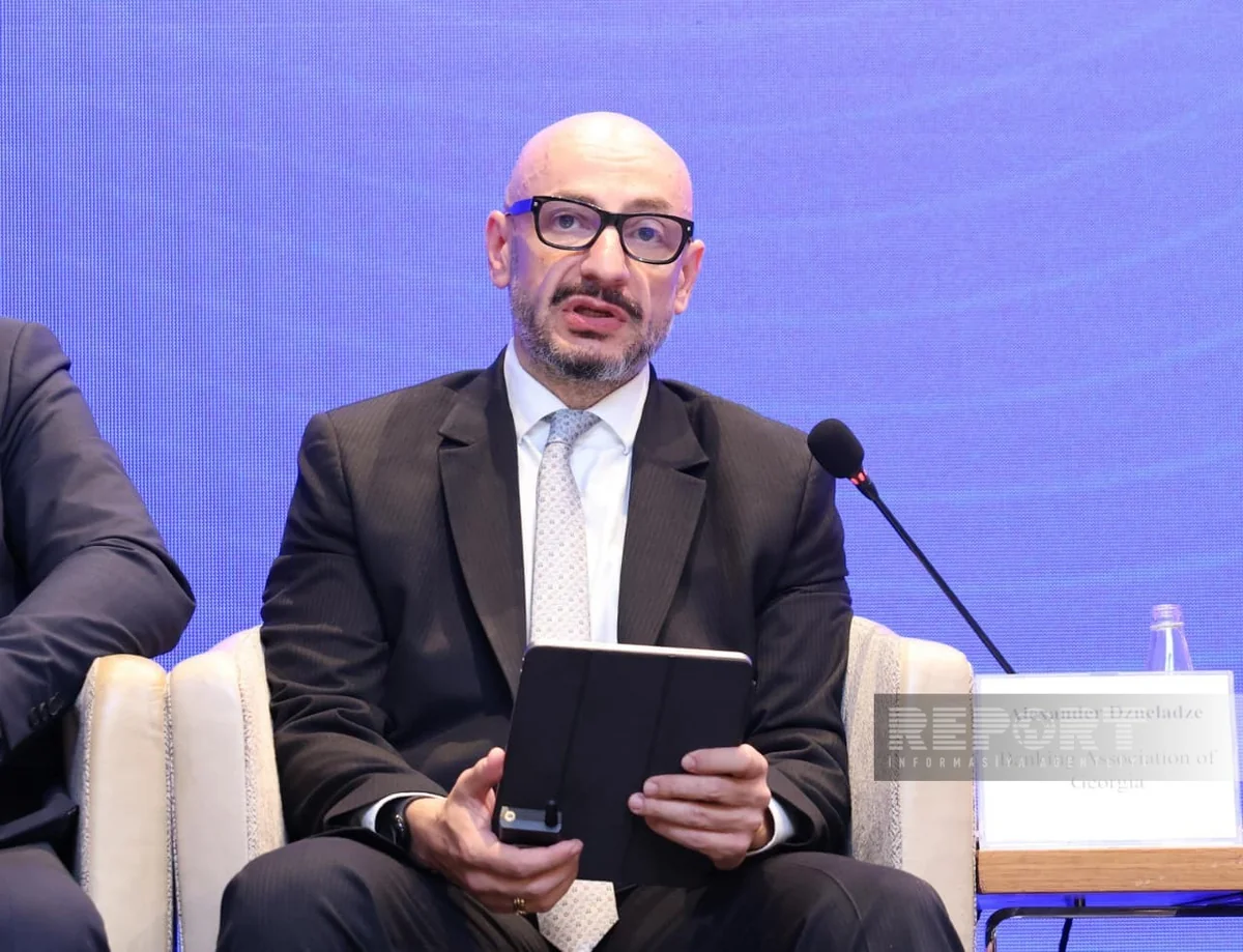Aleksandr Dzenaladze: "Rəqəmsal dövrdə regional əməkdaşlıq z