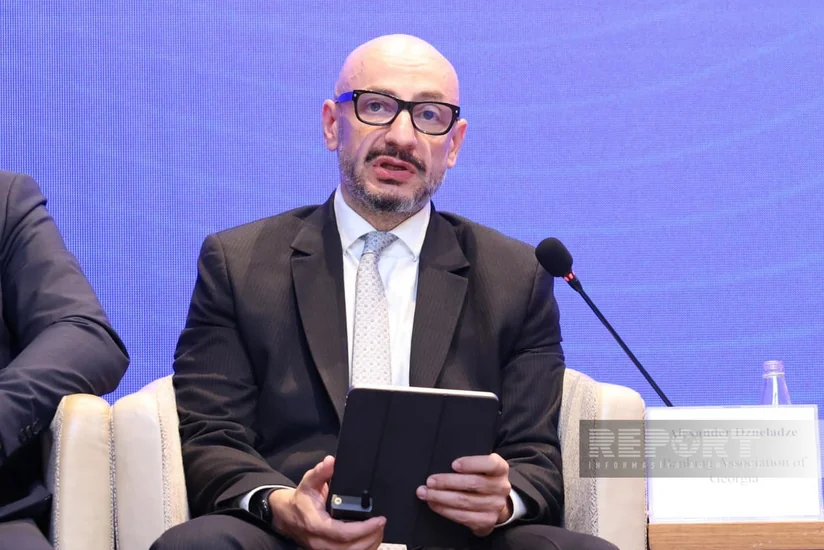 Dzneladze: In digital age, regional cooperation became necessity