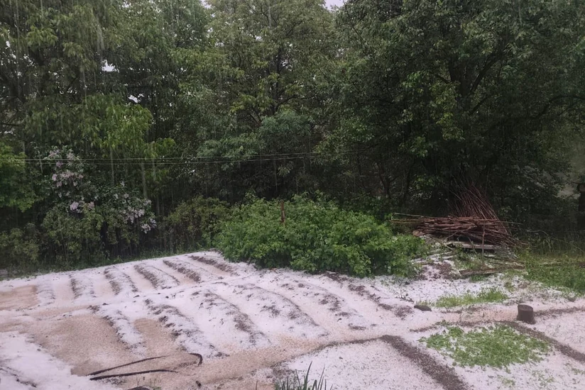 Şahbuza diametri təxminən 1 santimetr olan dolu yağıb