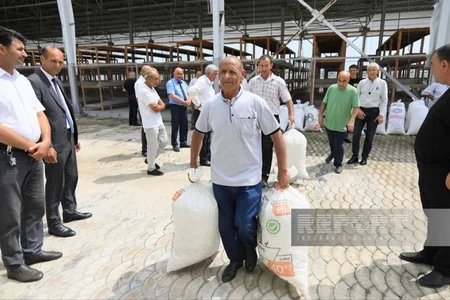 Zərdabda barama tədarükünə başlanılıb