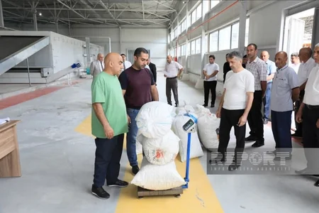 Zərdabda barama tədarükünə başlanılıb