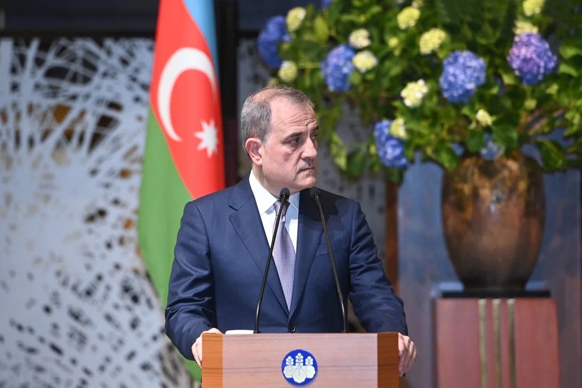Baku and Tokyo discuss accelerating investment agreement