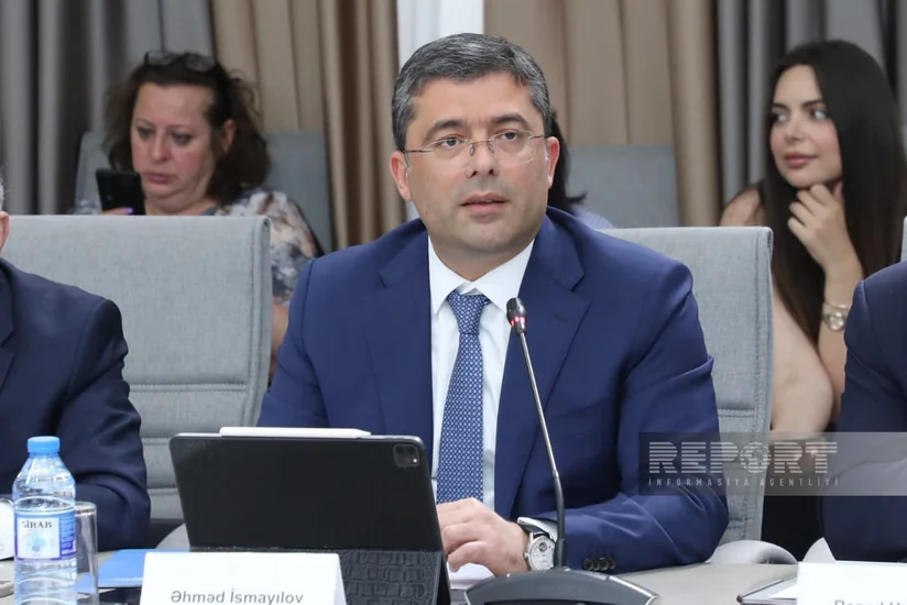 Глава MEDİA предупредил о рисках бесконтрольного использования соцсетей детьми