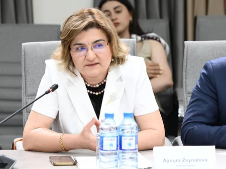 Uşaqların zərərli informasiyadan qorunmasına yönəlmiş normativ hüquqi akt layihəsi müzakirə olunub