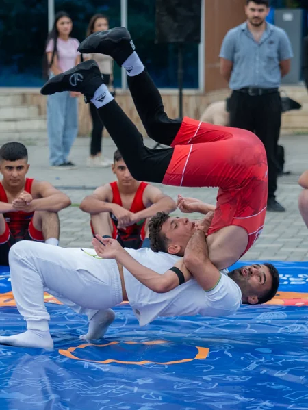 Lənkəranda güləş festivalı keçirilib