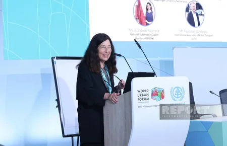 WUF13 opens session on service providers stakeholder group