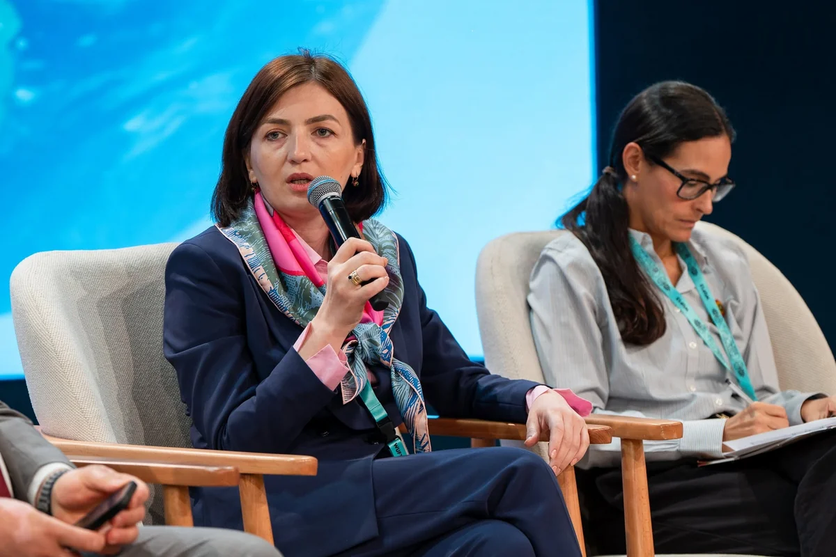 Tinatin Kolbaia: Urban planning and housing policy can be under a 'single umbrella'