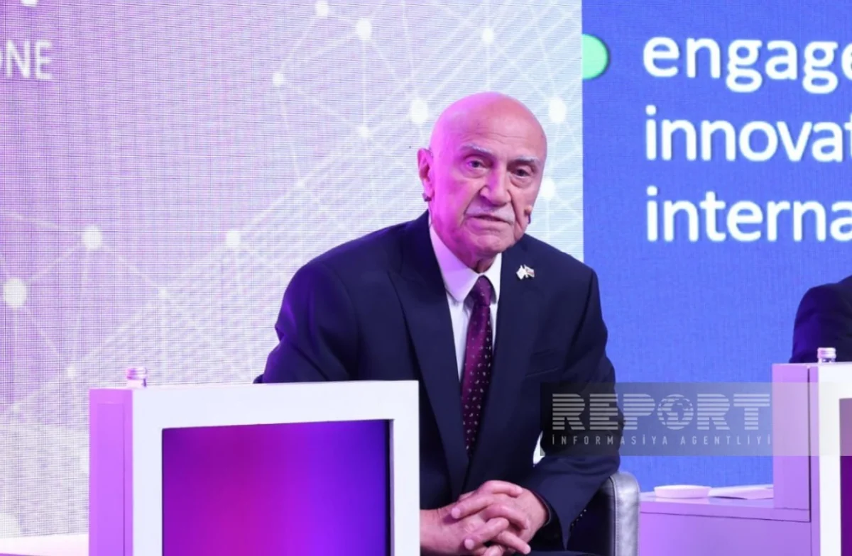 Valeh Alasgarov: At least 75% of Alat FEZ's output should be exported