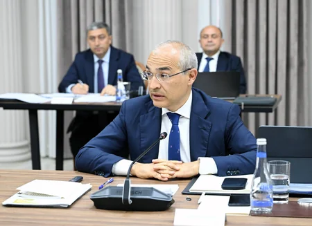 İqtisadi Şurada Ələt Azad İqtisadi Zonasının fəaliyyəti müzakirə olunub