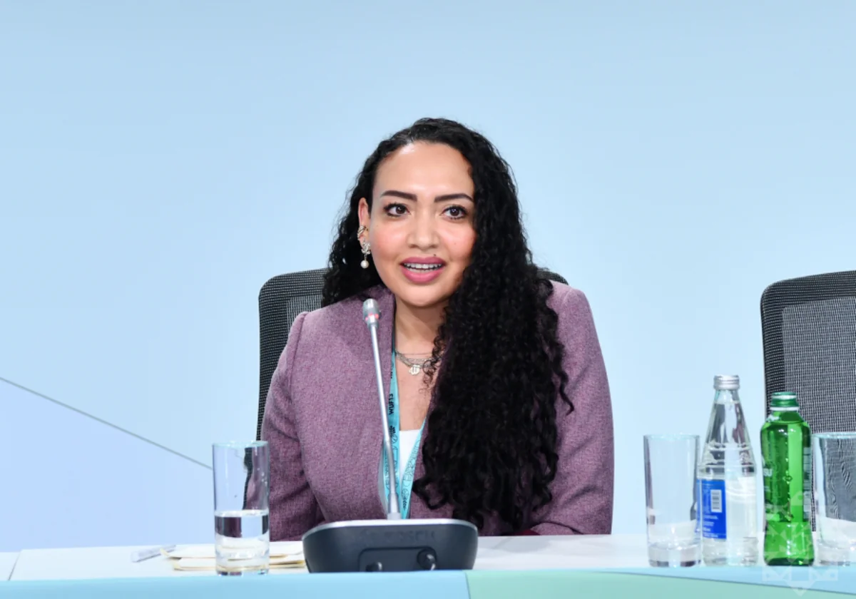 Mallawi on WUF13: Without decent housing, neither education nor economic independence possible