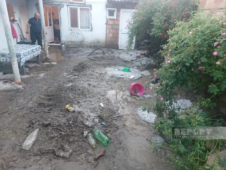 Daşkəsəndə sel 70-dən çox xırdabuynuzlu heyvanı tələf edib, evlərə ziyan vurub
