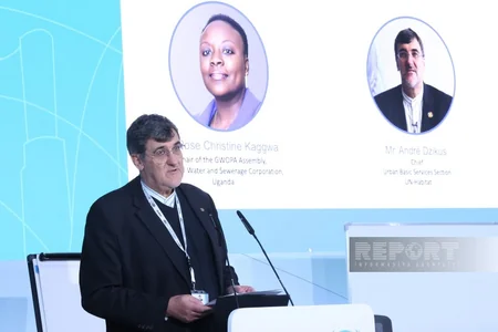 WUF13 opens session on service providers stakeholder group