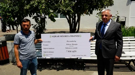 Göygöl və Samux fermerlərinə 20 min manata yaxın aqrar sığorta ödənişləri edilib
