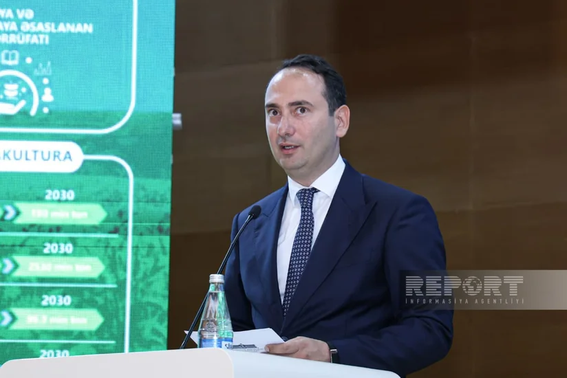 İcra başçısı: Ağdaşda çəltikçiliyi inkişaf etdirirmək üçün yeni toxumçuluq təsərrüfatı yaradılacaq