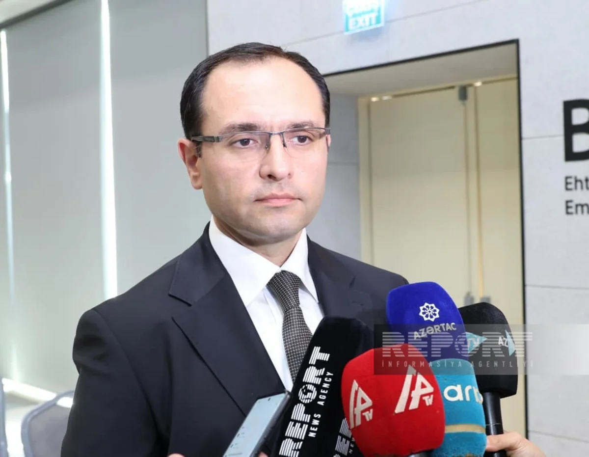 Məcnun Məmmədov: Azərbaycanda emal sənayesinə məhsul tədarükünün stimullaşdırılması planlaşdırılır