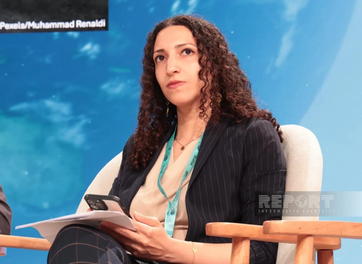 UN official: Institutional implementation of new urban development still limited