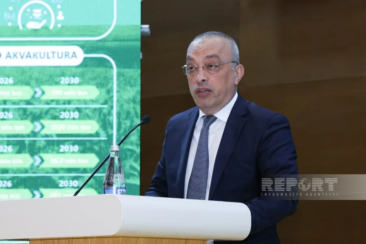 Zaur Mikayilov talks on agriculture prospects in Azerbaijan