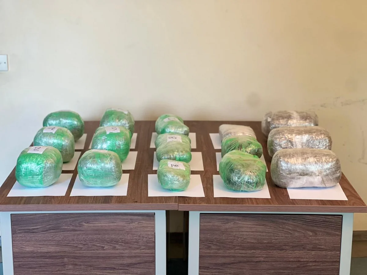 Azerbaijan prevents attempt to smuggle drugs from Iran by drone