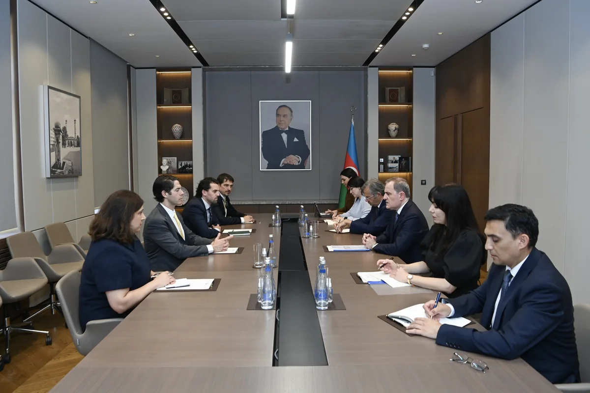 Azerbaijani FM, DFC CEO discuss regional transport projects