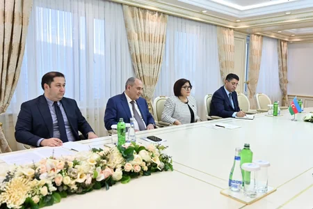 Azerbaijani speaker mulls co-op with second vice president of Cambodian Senate