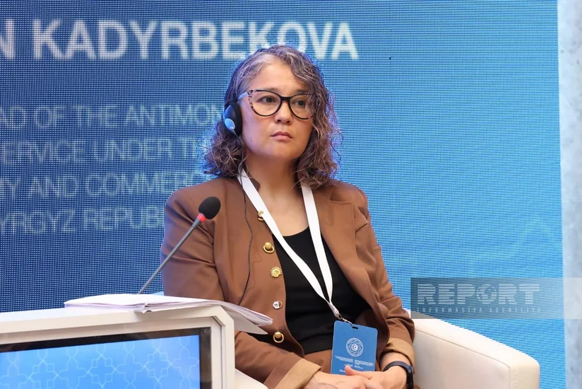 Qırğızıstan TDT ölkələrini transsərhəd kartellərə qarşı əməkdaşlığı genişləndirməyə çağırıb