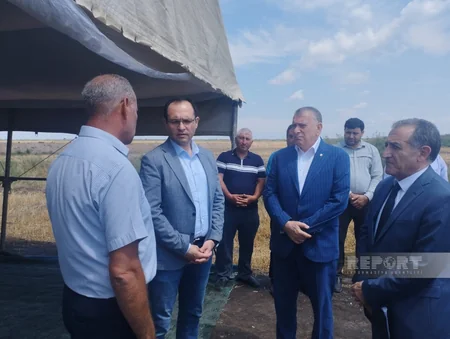 Məcnun Məmmədov Sabirabadda taxıl biçinini izləyib